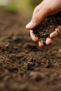 Planting The Garden - 5 Secrets To Get Your Garden Off To A Great Start!